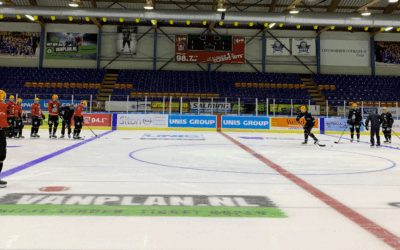 Pinguins fiebern Pinguinen entgegen