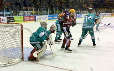 Fischtown Pinguins: Fan-Info für die Spiele in Heerenveen