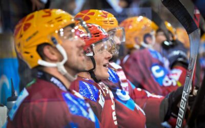 Fischtown Pinguins: Kosten für neue Scheiben übernimmt die Stadthalle
