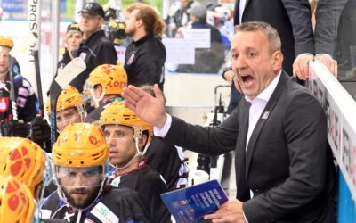 Fischtown Pinguins empfangen Düsseldorfer EG zum Spitzenspiel