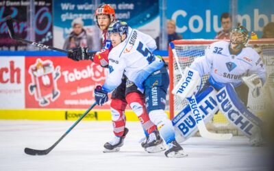 Pinguins beenden das Jahr 2019 mit einem Sieg
