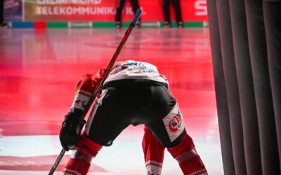 Pinguins spielen zum Jahresabschluss gegen Ingolstadt
