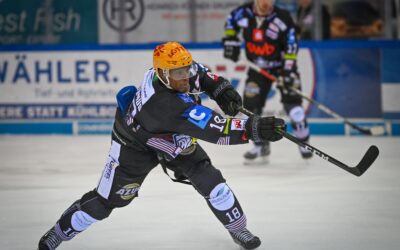 Pinguins trotz Niederlage gegen Wolfsburg in den Playoffs
