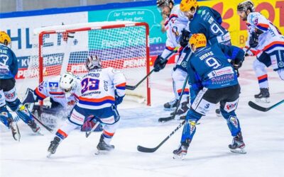 Pinguins feiern Sieg zum Jahresabschluss