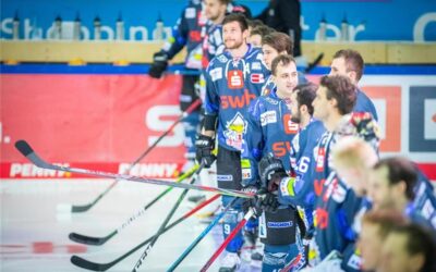 Pinguins gehen als Tabellenführer in die neue Woche