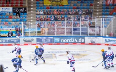 Papp-Fans unterstützen die Fischtown Pinguins