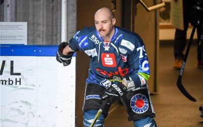 Pinguins-Neuzugang Wahl startet sofort durch