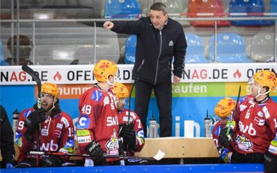 Immer im Februar hängen die Pinguins durch