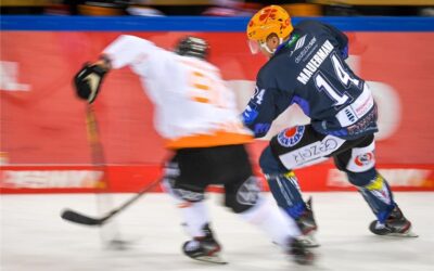 Pinguins wollen den dritten Streich im Nordderby