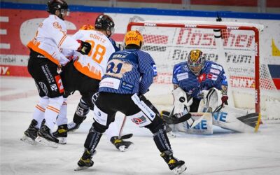 Bitter: Pinguins verpassen das Halbfinale