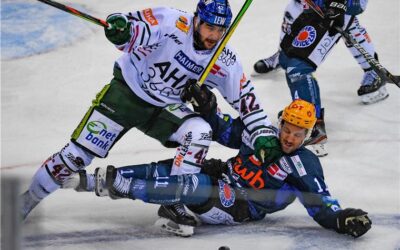 Pinguins in Augsburg ohne Chance