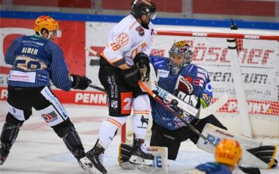 Alles-oder-Nichts-Spiel für die Pinguins