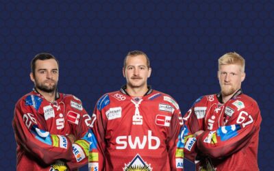 Pinguins erweitern ihren Kader