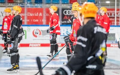 Die Pinguins-Spieler schwitzen wieder