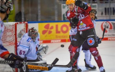 Pinguins gewinnen den swb-Energie-Cup
