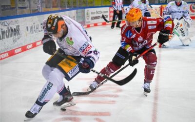 Die Pinguins verlieren gegen Meister Berlin