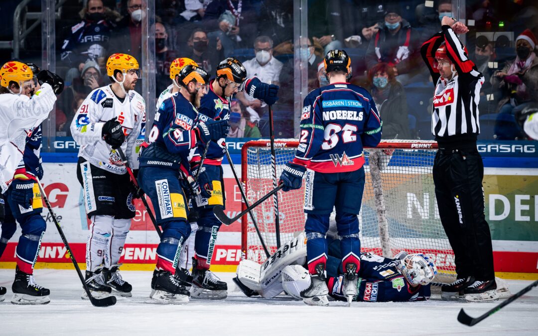 Pinguins reisen in die Hauptstadt