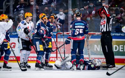 Pinguins reisen in die Hauptstadt