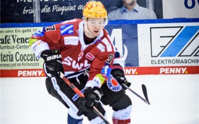 Pinguins empfangen die Augsburger Panther