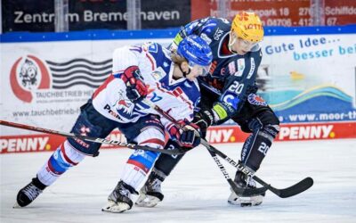 Pinguins wollen die Ice Tigers zähmen