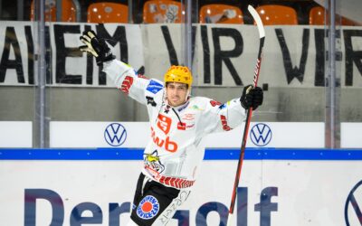 Pinguins wieder auf dem Eis