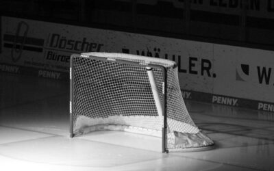Spiel fällt aus gegen die Schwenninger Wild Wings