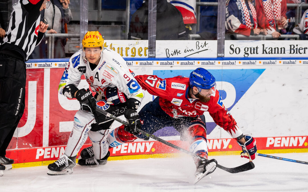 Pinguins wildern im Adlerhorst