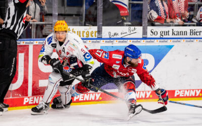 Pinguins wildern im Adlerhorst