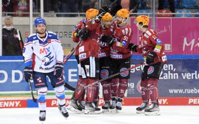 Adler Mannheim im Anflug