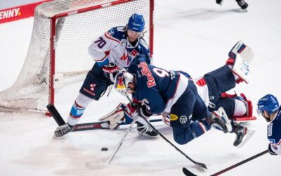 Pinguins machen Rechnung mit dem Wirth