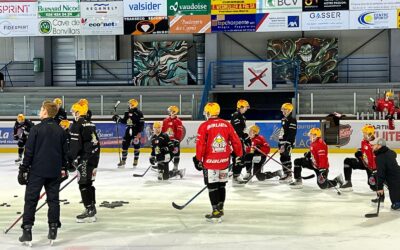 Testspiel gegen HC Fribourg-Gotteron