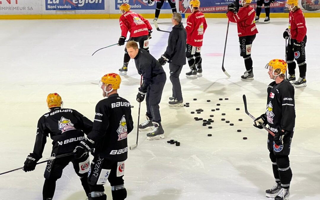 Pinguins in der Schweiz