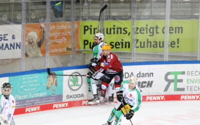 Schlusslicht Bietigheim reist an die Nordseeküste