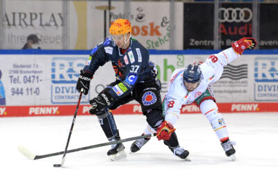 Pinguins empfangen Düsseldorfer EG