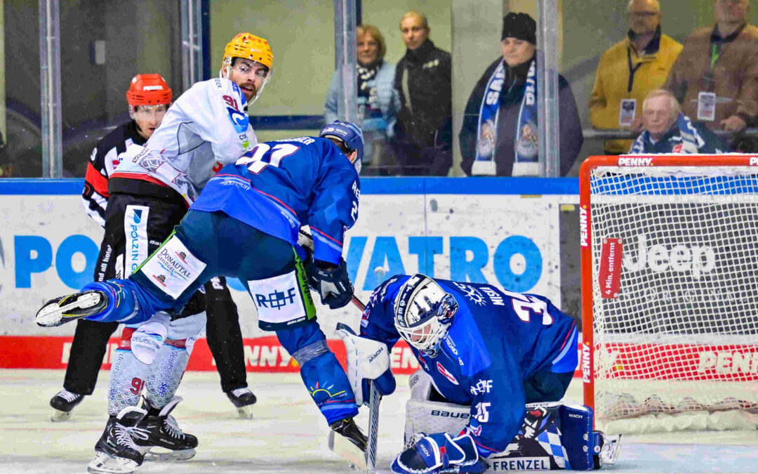 Pinguins zu Gast am Pulverturm in Straubing