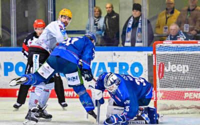 Pinguins zu Gast am Pulverturm in Straubing