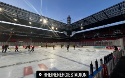 Pinguins mit ersten Training im RheinEnergieStadion