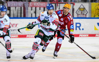 Pinguins empfangen Augsburg zum Heimspiel – letztes Heimspiel vorm Deutschland-Cup