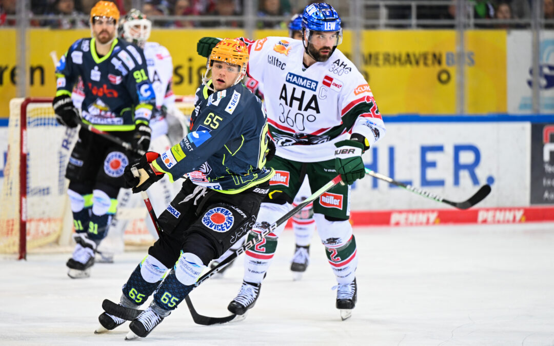Pinguins müssen in Augsburg ran – drei weitere Punkte sollen folgen