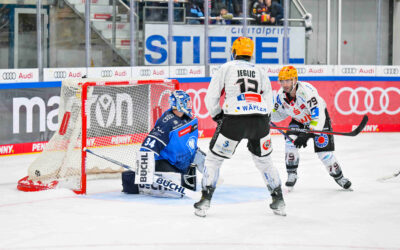 Pinguins empfangen die Panther aus Ingolstadt – Tabellenführung soll verteidigt werden