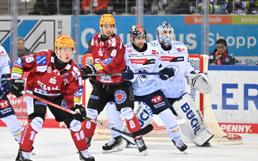 Gegner für Viertelfinale steht fest – Pinguins gegen Ingolstadt