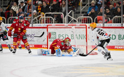 Pinguins reisen ins Rheinland – Zu Gast bei der DEG