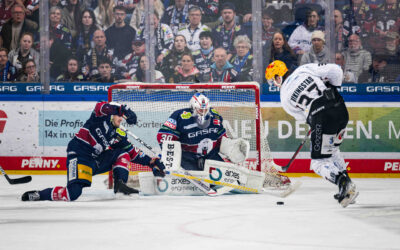 Die Pinguins treffen auf den Meister – Duell der Finalisten in Berlin
