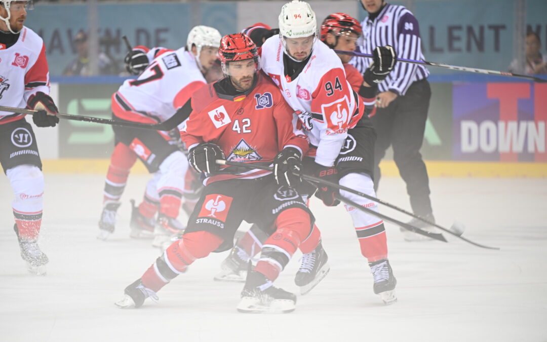 Pinguins zu Gast in Vojens