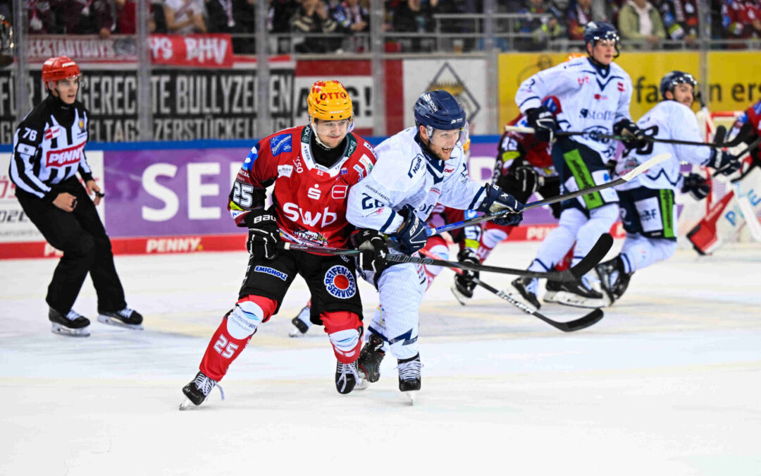 Pinguins auf Reisen – am Freitag zu Gast in Straubing