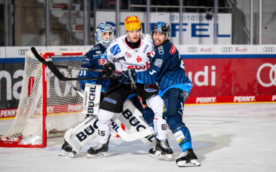 Spitzenspiel in Ingolstadt – Pinguins wollen den Abstand verkürzen