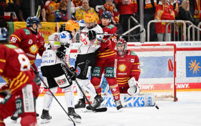 Pinguins wieder im Liga-Alltag – Gastspiel der Düsseldorfer EG am 28. Spieltag