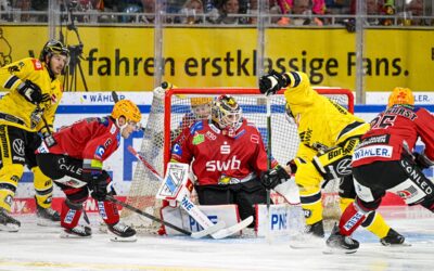 Pinguins stehen in den Startlöchern