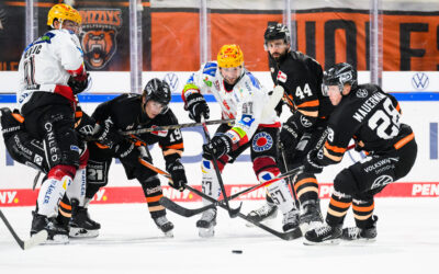 Pinguins verlieren  Nordderby
