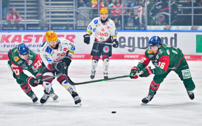 Unglückliche Niederlage in Augsburg: Pinguins belohnen sich nicht